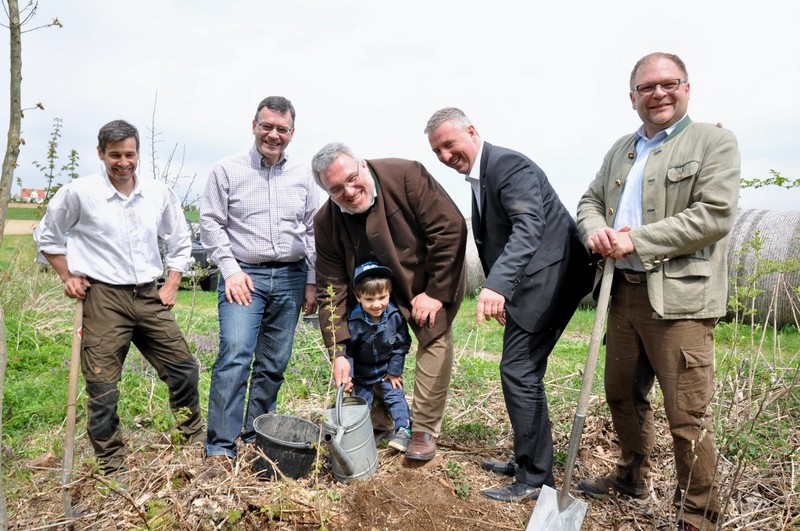Internationaler Tag des Baumes 2015: Baumpflanzung in Wippenhausen