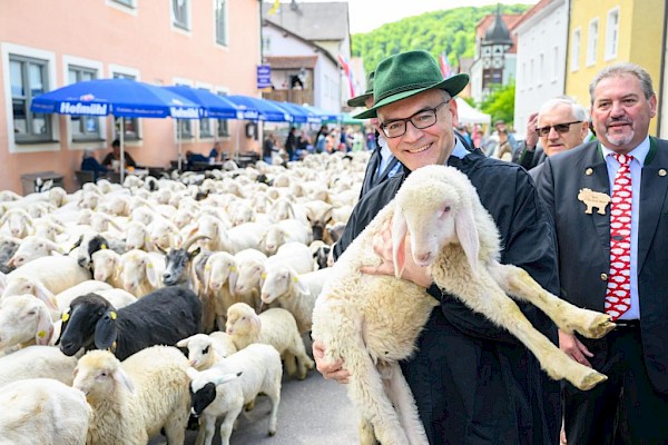 Altmühltaler Lammauftrieb 2025